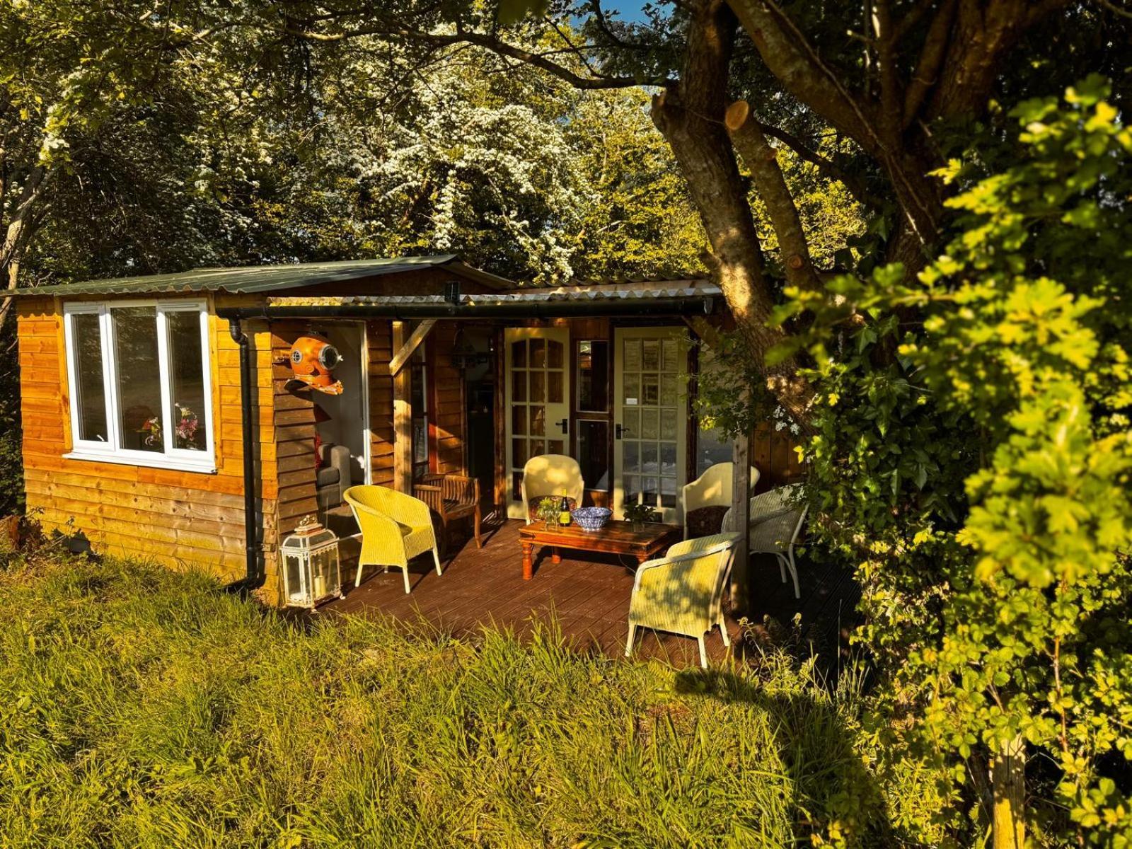 Hollamoor Farm Bed & Breakfast Barnstaple Bilik gambar