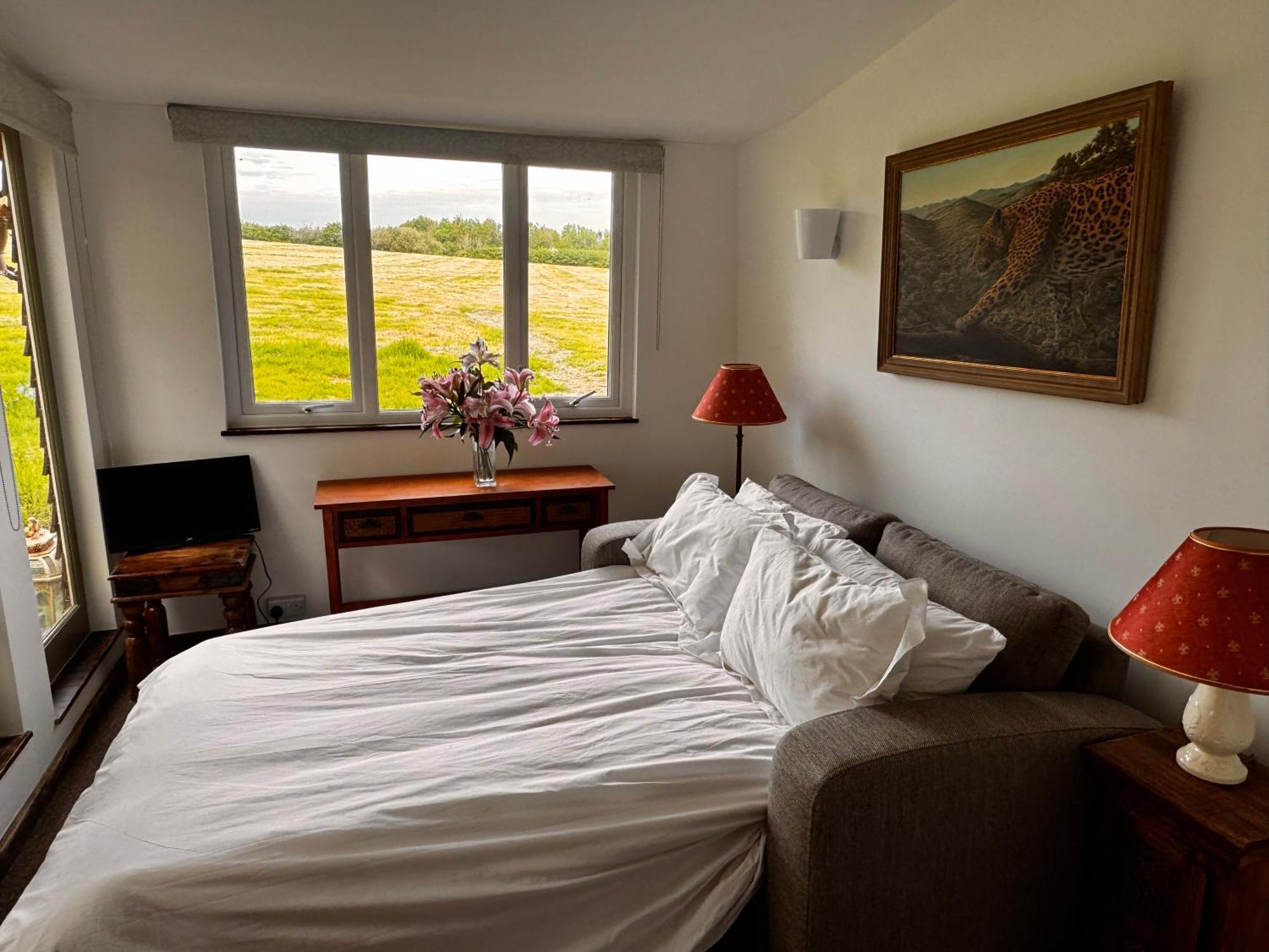 Hollamoor Farm Bed & Breakfast Barnstaple Bilik gambar