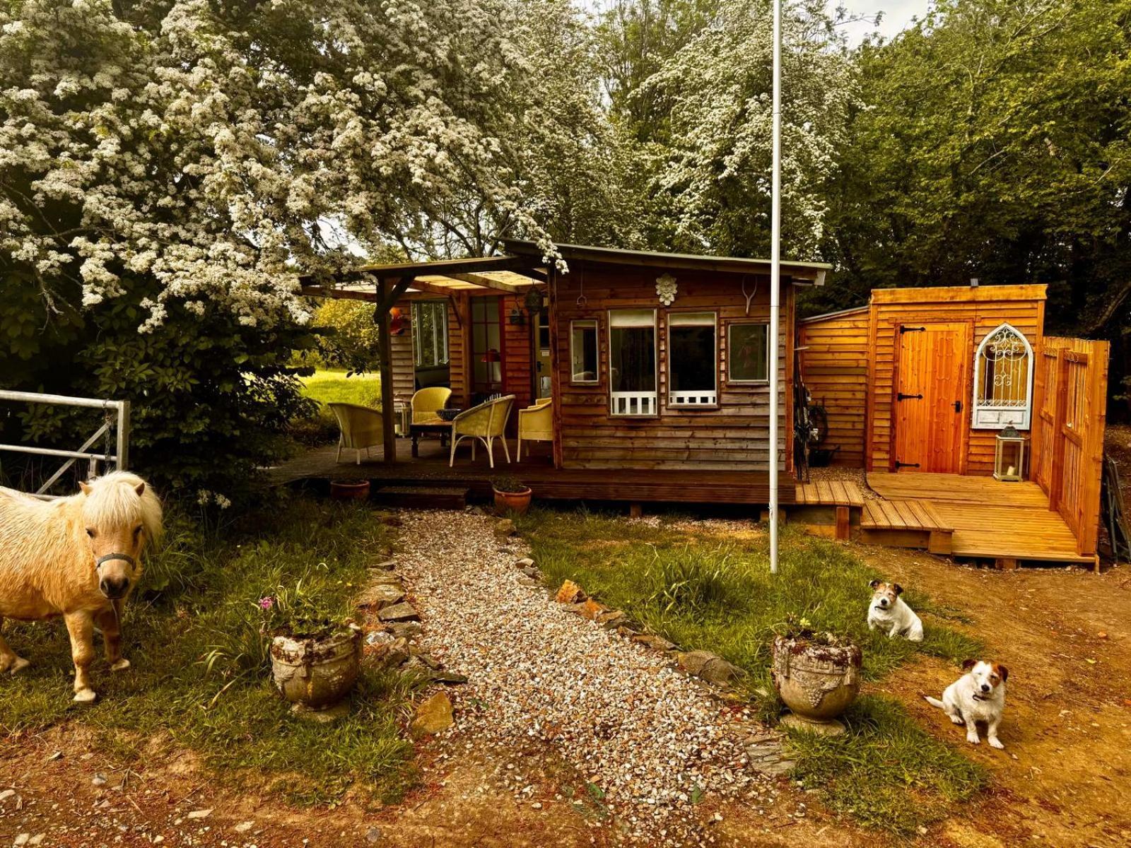 Hollamoor Farm Bed & Breakfast Barnstaple Luaran gambar